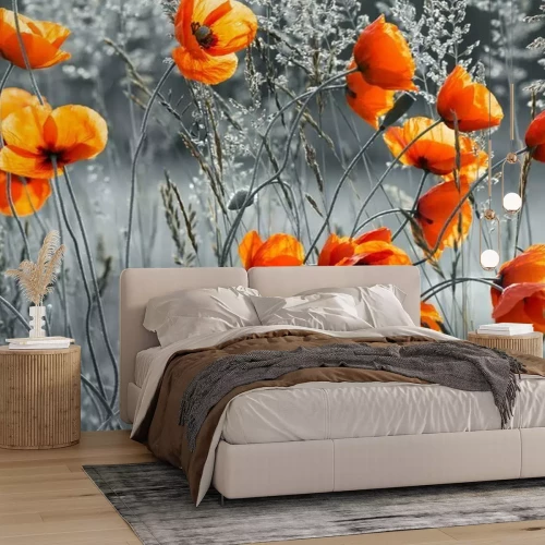 Fototapete Mohnblumen auf einem schwarz-weißen Wiesenhintergrund