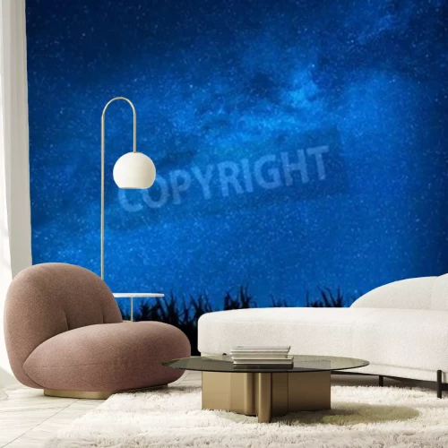 Fototapete Gras und Nachthimmel mit Sternen