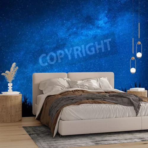 Fototapete Gras und Nachthimmel mit Sternen