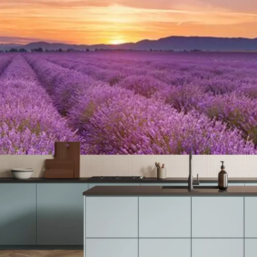 Fototapete Sonnenaufgang über Feldern von Lavendel in der Provence, Frankreich