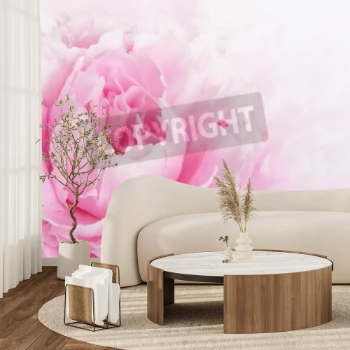 Fototapete Rosa Blütenblätter Makro