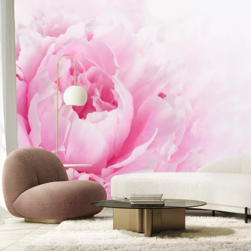 Fototapete Rosa Blütenblätter Makro