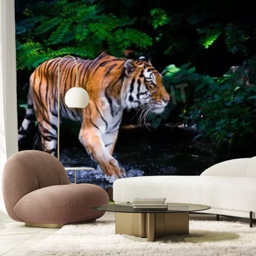 Fototapete Im wasser watender tiger