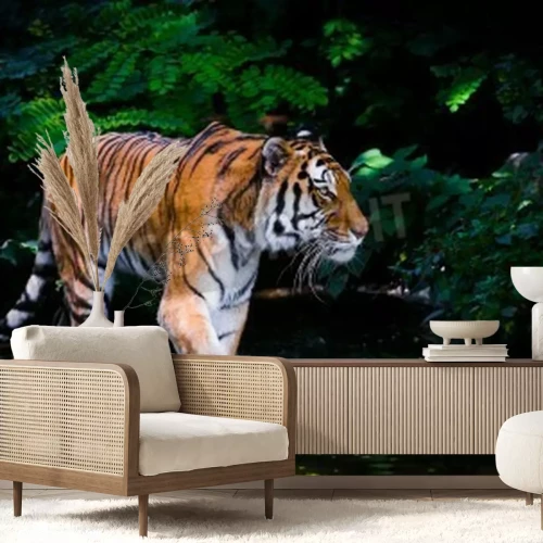 Fototapete Im wasser watender tiger