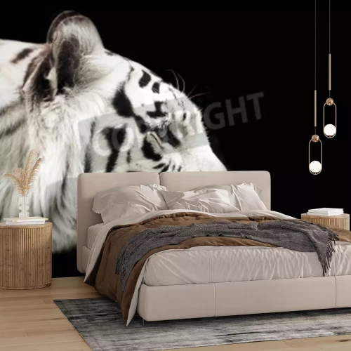 Fototapete Der bengalische tiger auf dunklem hintergrund