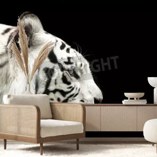 Fototapete Der bengalische tiger auf dunklem hintergrund