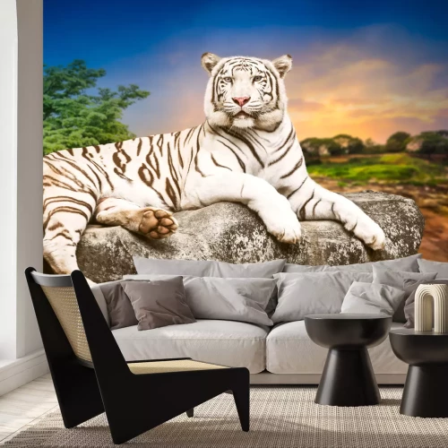 Fototapete Ein weißer Tiger liegt auf einem Stein