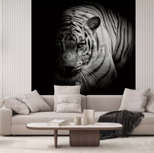 Fototapete Schwarz-weiß-darstellung eines tigers