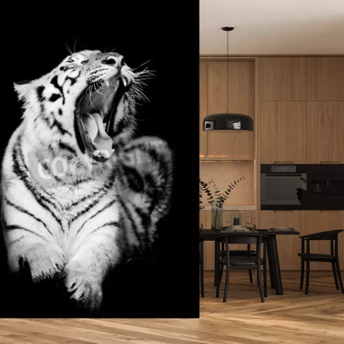 Fototapete Schwarz-weißer tiger