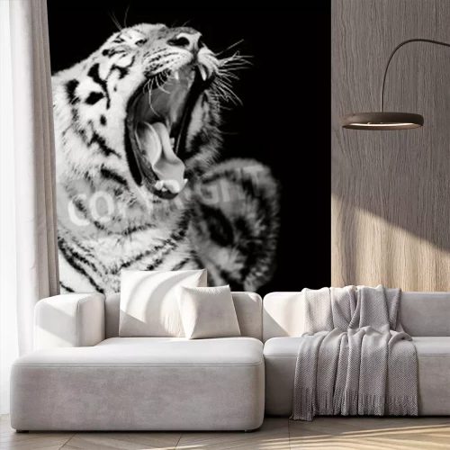 Fototapete Schwarz-weißer tiger