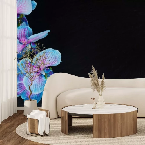 Fototapete Bündel violette Orchideen