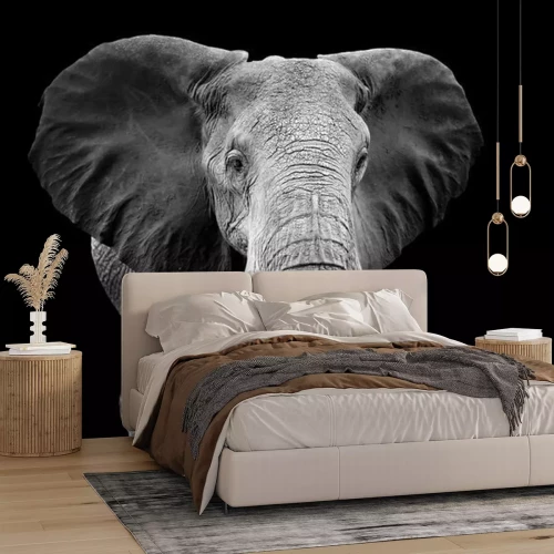 Fototapete Elefant Schwarz Weiß Thema