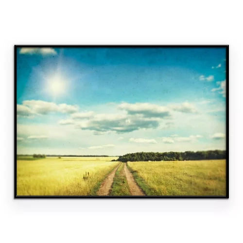 Poster Eine im nostalgischen Stil fotografierte Feldwiese