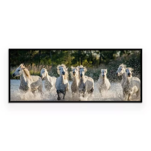 Poster Pferde, die im Wasser galoppieren