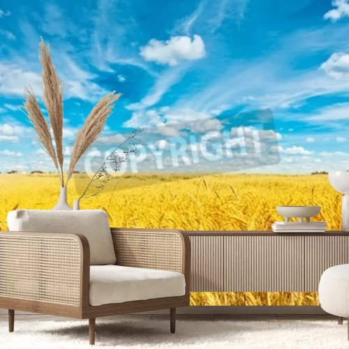 Fototapete Himmel über sonnigem Feld