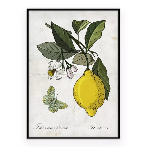 Poster Vector Handzeichnung Zitrone branch.Botanical Illustration.