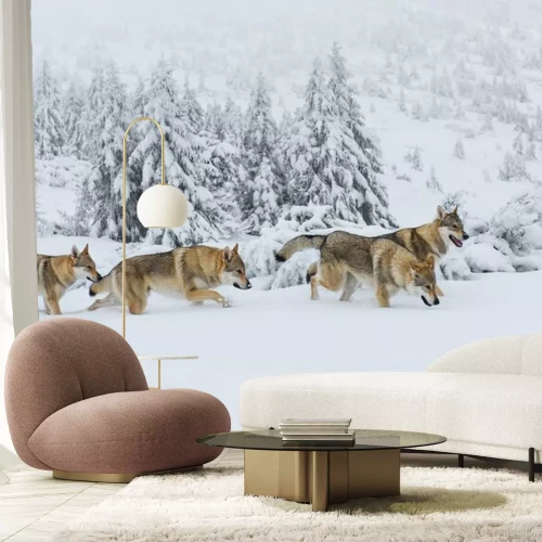 Fototapete Ein Rudel Polarwölfe im Schnee