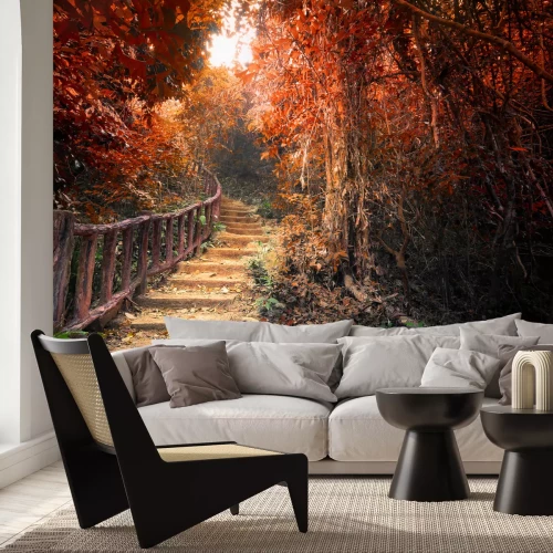 Fototapete Herbstliche rote Bäume