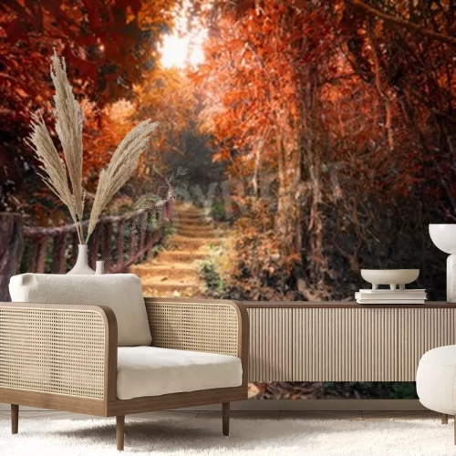 Fototapete Herbstliche rote Bäume