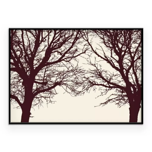 Poster Zwei kahle Bäume mit blattlosen Kronen