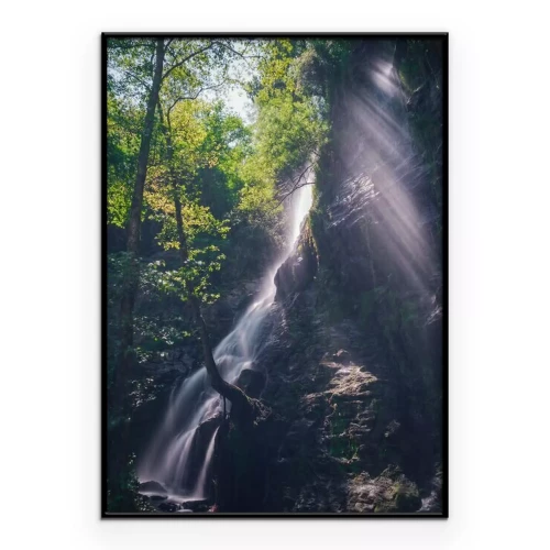 Poster Sonnenstrahlen fallen auf einen Wasserfall im Wald