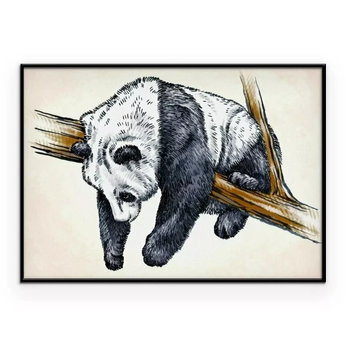 Poster Schlafender Panda auf einem Ast