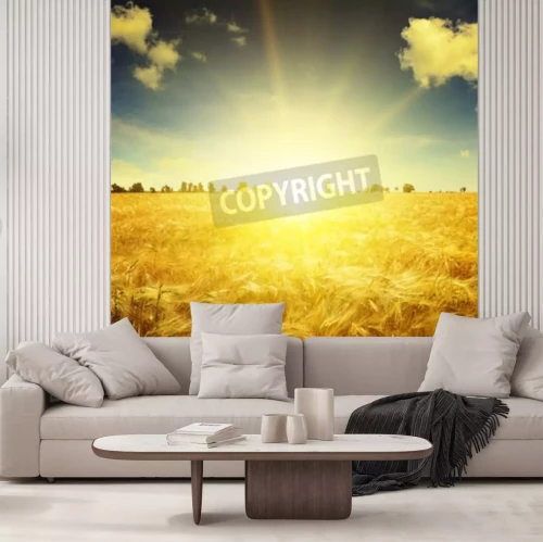 Fototapete Sonnenaufgang über Weizenfeld