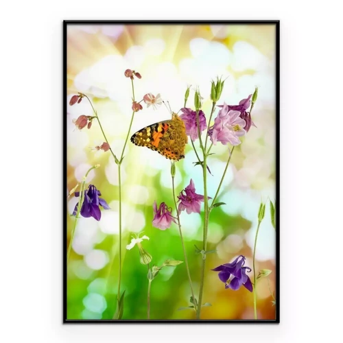 Poster Schmetterling auf Wildblumen