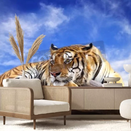 Fototapete Tiger am blauen himmel