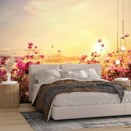 Fototapete Wiese mit Blumen, beleuchtet von den Strahlen der untergehenden Sonne