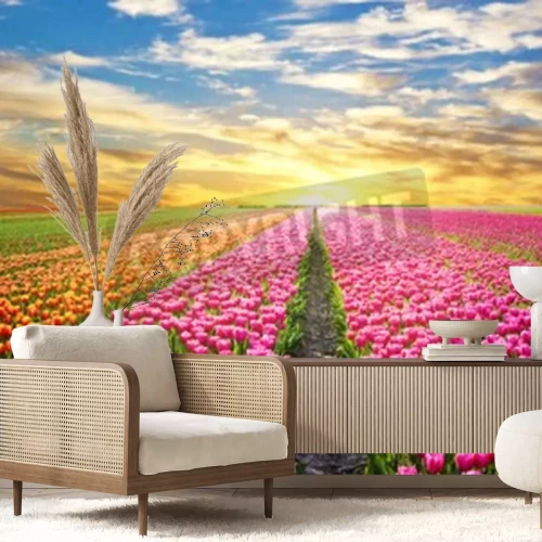 Fototapete Sonnenaufgang über Tulpenfeld