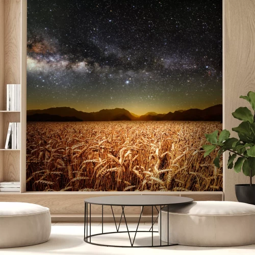 Fototapete Weizenfeld und gestirnter Himmel