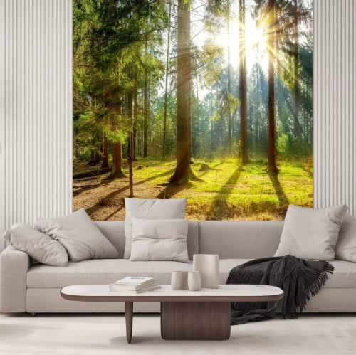 Fototapete Hohe bäume in der sonne