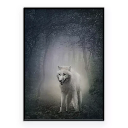 Poster Ein weißer Wolf auf einem Pfad in einem dunklen Wald