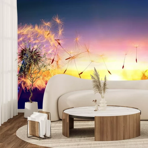 Fototapete Pusteblume vor dem Hintergrund des Sonnenuntergangs