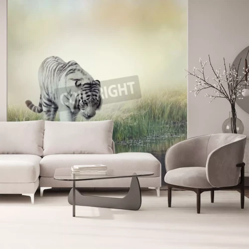 Fototapete Weißer tiger am teich