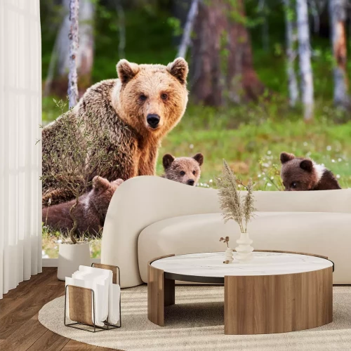 Fototapete Eine Bärenfamilie auf einer grünen Waldlichtung