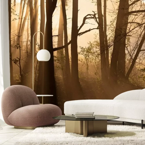 Fototapete Waldlicht an einem frühen Morgen