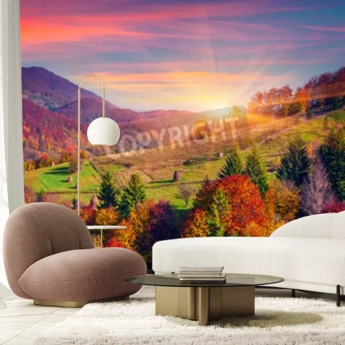 Fototapete Sonnenaufgang und Herbstbäume