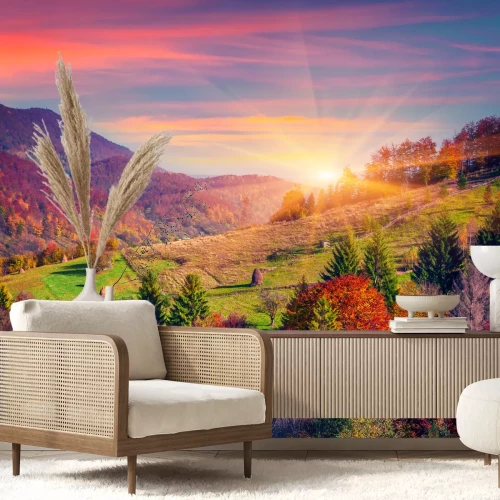 Fototapete Sonnenaufgang und Herbstbäume