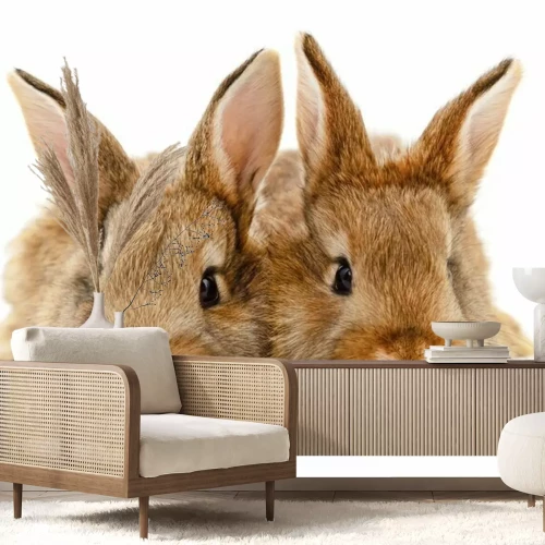 Sticker Braune Hasen auf weißem Hintergrund