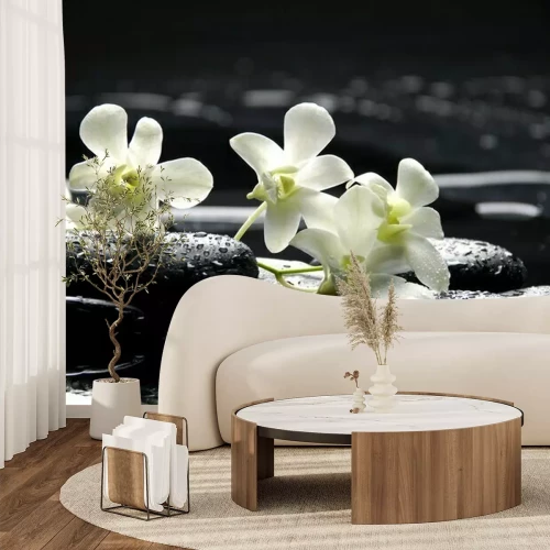 Sticker Zen Steine ​​und weiße Orchideen mit Reflexion