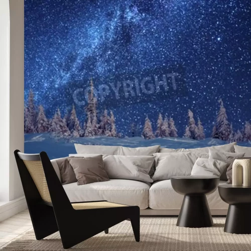 Fototapete Winterwald und Sterne