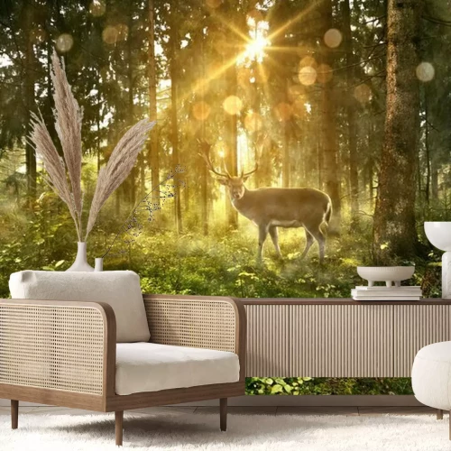 Fototapete Hirsch im Sonnenlicht Sonnenschein im Wald