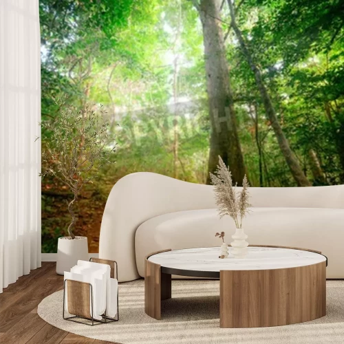 Fototapete Dschungel an einem sonnigen Tag