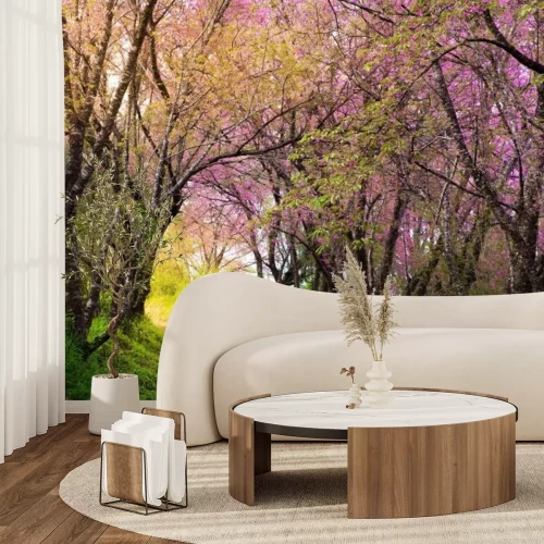 Fototapete Blühende rosa Bäume am Weg