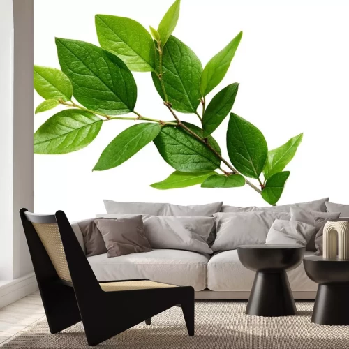 Sticker Zweig mit grünen Blättern
