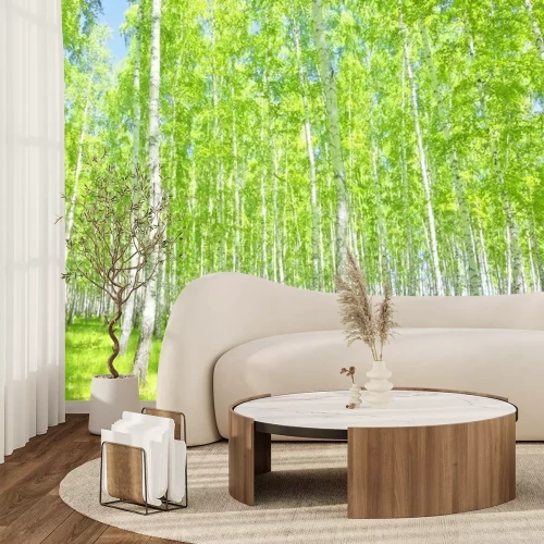 Fototapete Birkenwald im Sommer