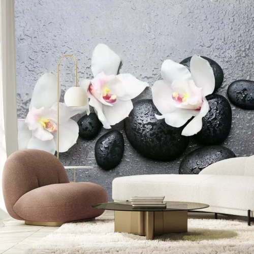 Fototapete Spa Steine ​​und weiße Orchidee auf grauem Hintergrund