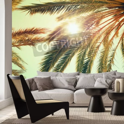 Fototapete Sonne Tropen und Himmel